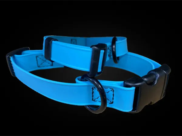 Blaues BioThane Hundehalsband mit schwarzer Schnalle und D-Ring, verstellbares und robustes Design